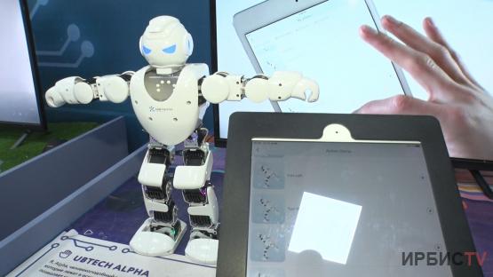Роботы в Павлодаре: окунуться в будущее поможет уникальная выставка RoboPark